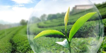 Sistemas de procesamiento para agentes fitosanitarios y pesticidas