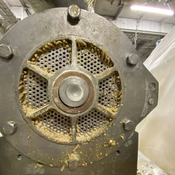 Ensayos piloto de extrusión para el procesamiento sostenible de proteínas vegetales