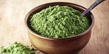Sistemas de procesamiento para proteínas vegetales